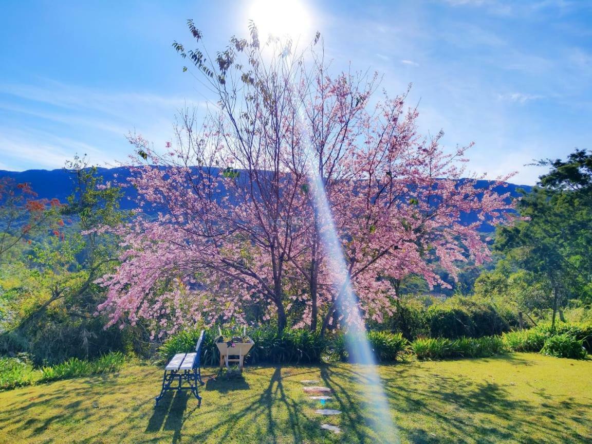 Pousada Pe Da Serra Tiradentes Dış mekan fotoğraf